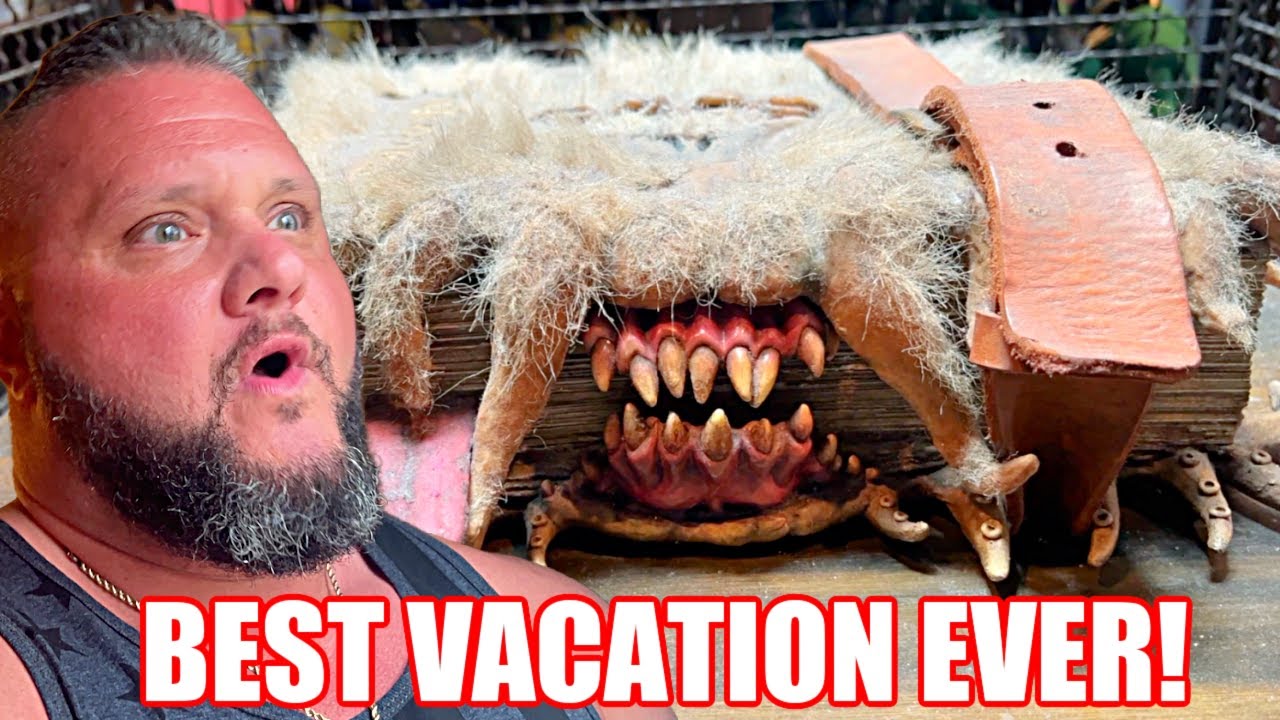 THE BEST FAMILY VACATION EVER! DISNEY WORLD vs UNIVERSAL ORLANDO -Family Travel VLOG -The MOViE