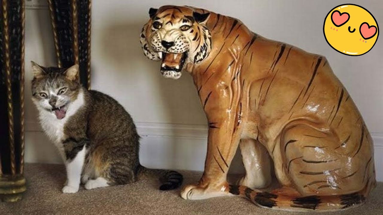 Try Not To Laugh Dogs And Cats 😁 - Best Funniest Animals Video 2024 - Part 31