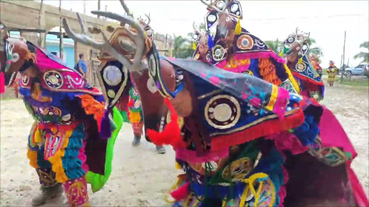 Baile de Venado: valley of peace.   #tradiciones #belize #danza #bailedevenado #guatemala
