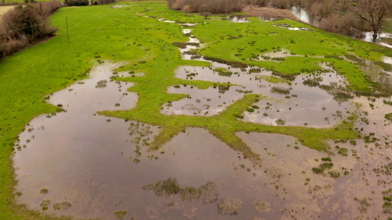 Axford Water Meadows Wiltshire March 2020