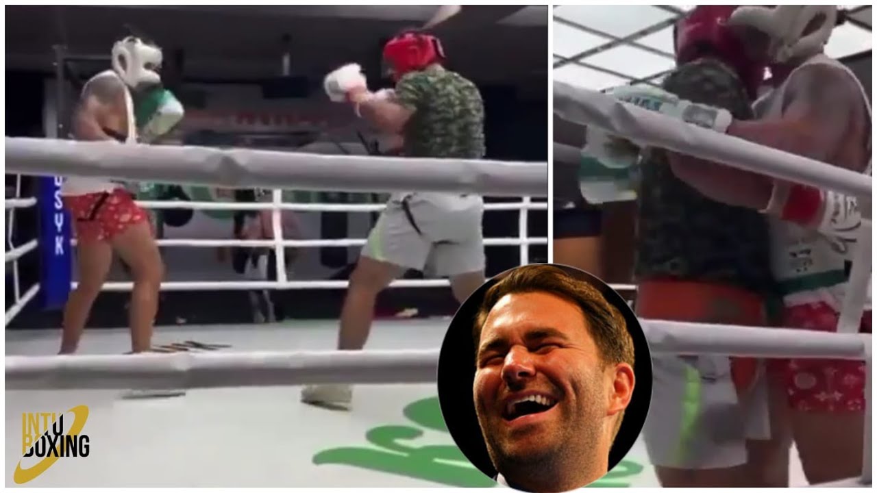 DAVE ALLEN SHOWS USYK SPARRING SESSION | Includes the shot that retired the White Rhino from boxing