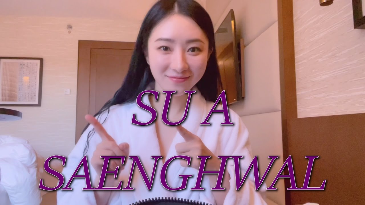 [Dreamcatcher's VLOG] 수아의 솨생활 : 유럽 투어 1편 (ENG)