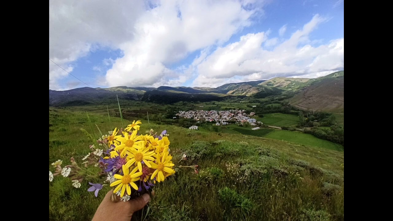 Yaralı bagrımda neler var neler