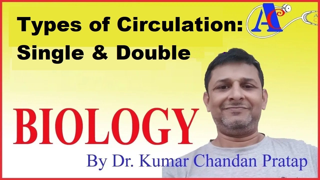 Types of Circulation : Single & Double