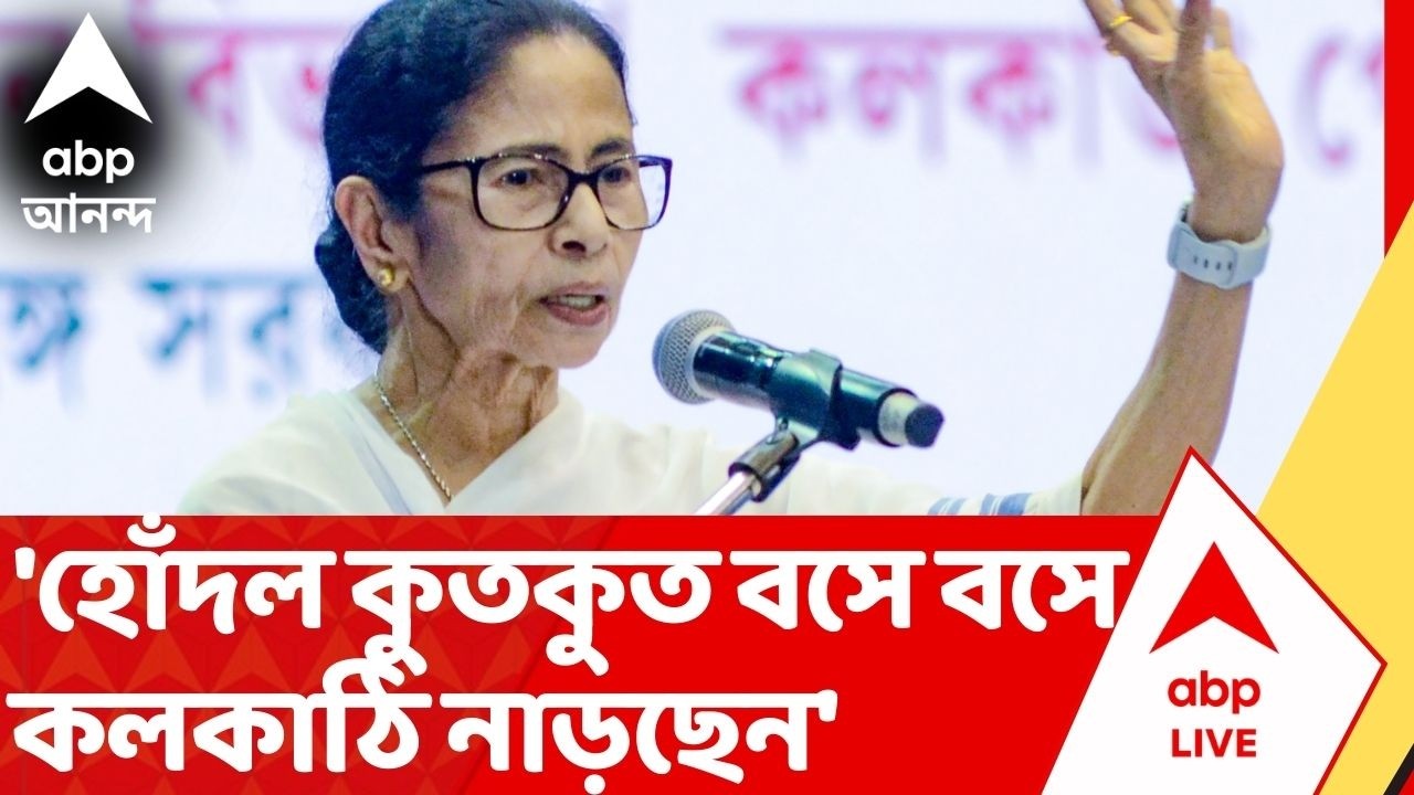 Mamata Banerjee: 'একজন হোঁদল কুতকুত বসে বসে কলকাঠি নাড়ছেন' কাকে নিশানা করলেন মমতা ?