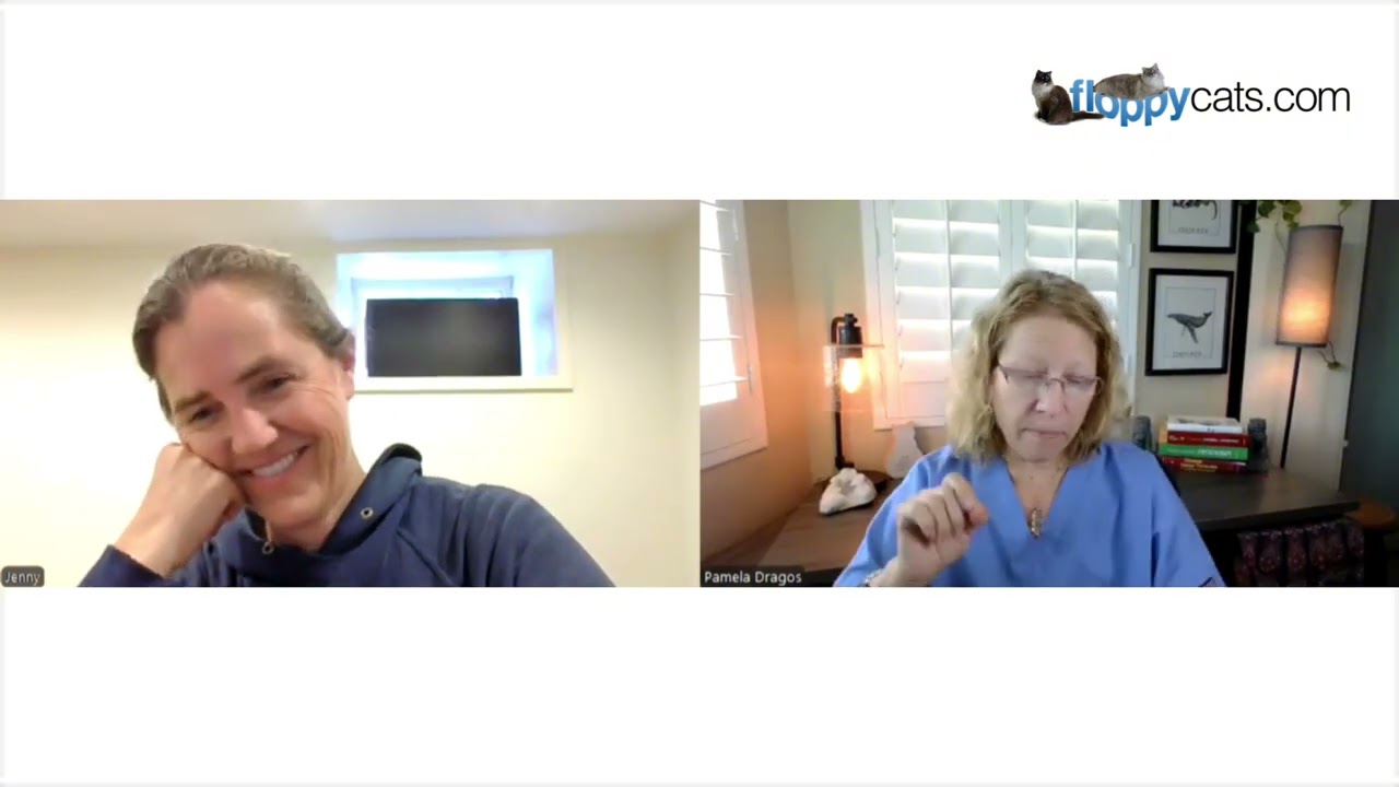 Feline Hyperesthesia Expert Dr. Dragos Reveals Lifesaving Tips