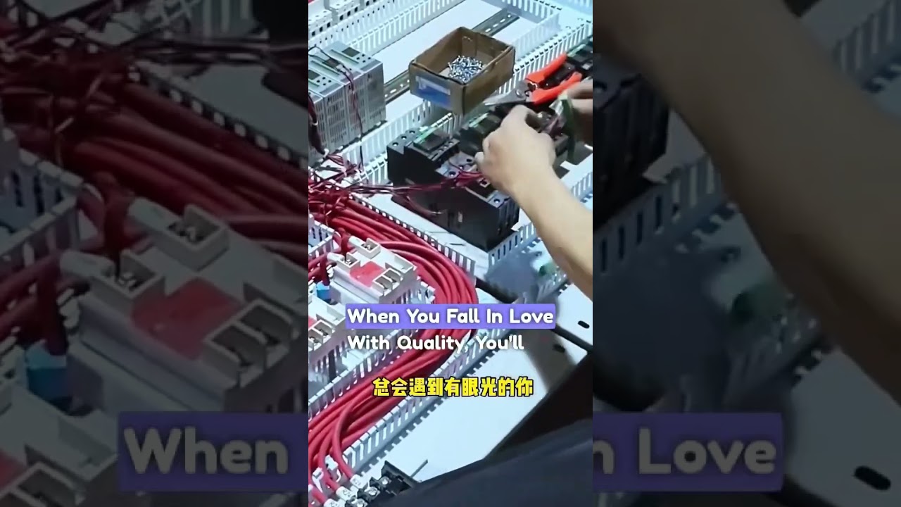 XZY Strawberry Vegetable Fruit Cookie Industrial Use PP Clamshell Tray#production #line #fyp