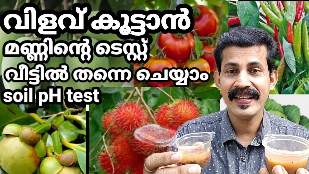 How tomeasure soil pH easily in Home/മണ്ണിലെ PH ഇനിവീട്ടിൽ തന്നെ ചെയ്യാം 5 മിനിറ്റ്മതിBtech MIXMEDIA