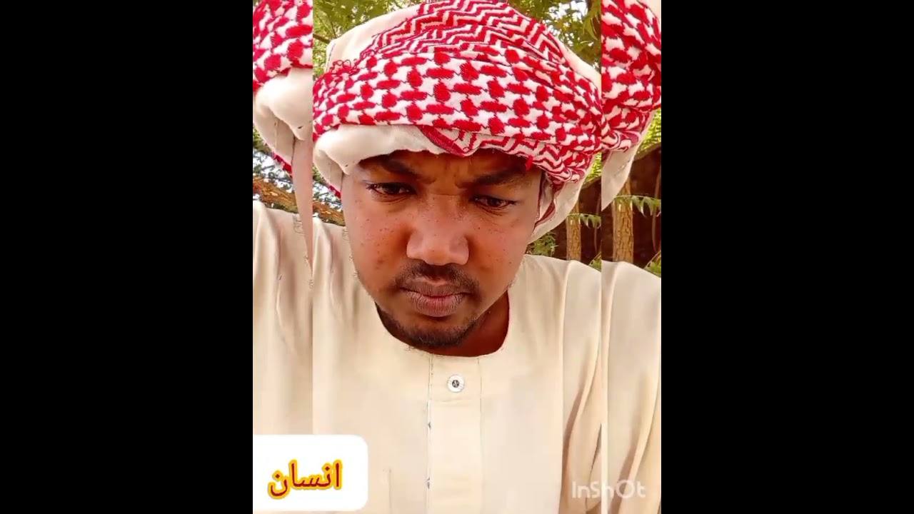 ١٦ فبراير ٢٠٢٦
