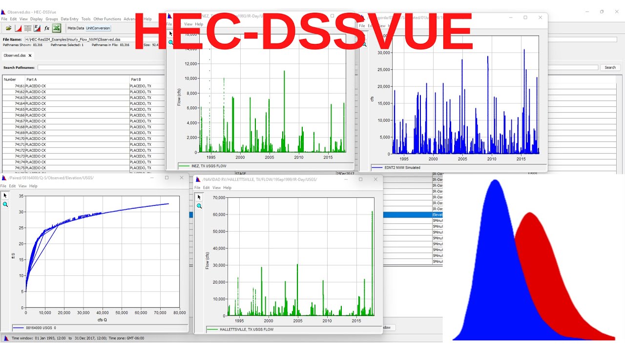HEC-DSSVue: How To Create DSS Data Set For H&H Modelling