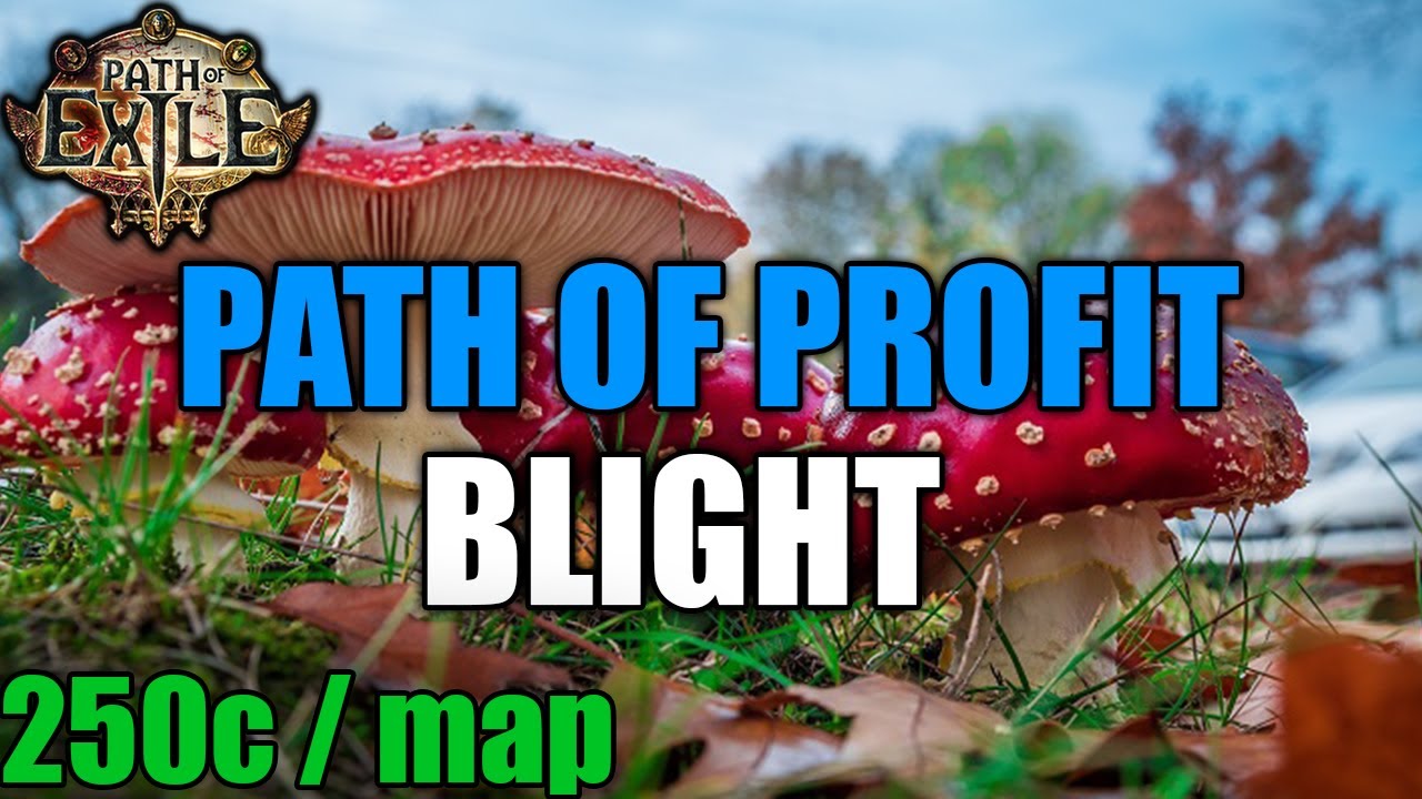 CASUAL Friendly Blight Testing INSANE profit per map | Path of Exile 3.14 Ultimatum