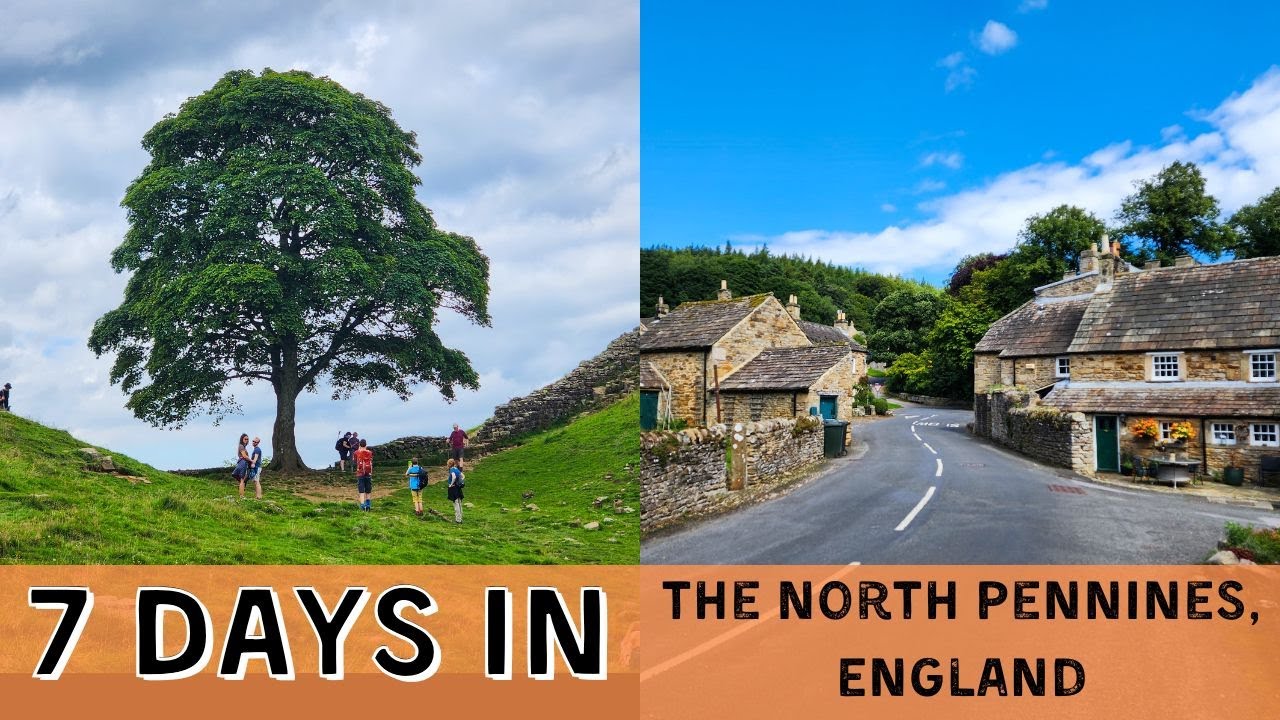 7 DAYS North Pennines | Hadrian's Wall, England | The Sycamore Gap Tree | UK Family Travel Guide