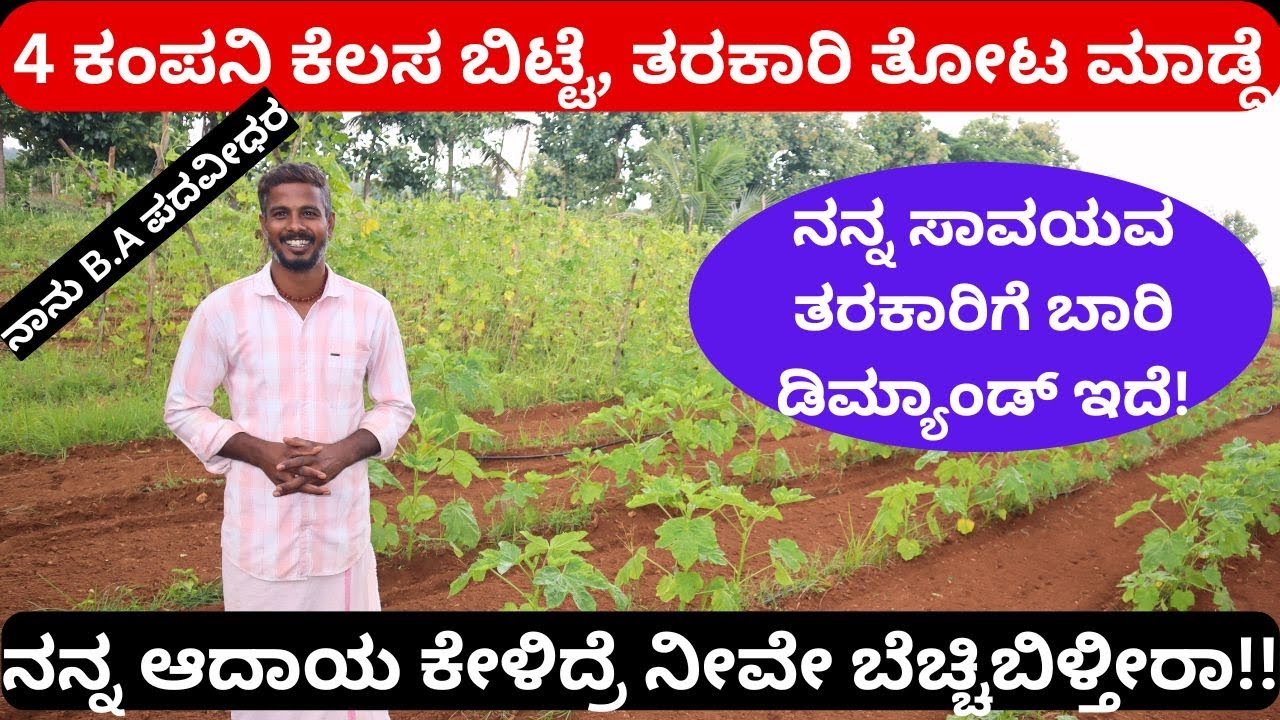 ಈಗಿನ ಪದವಿಗಳಿಗೆ ಏನು ಬೆಲೆ ಇಲ್ಲ.!! ಸಾವಯವ ಕೃಷಿ ಮಾಡಿ ದೇವರಾಣೆ ಚೆನ್ನಾಗಿರಿ!!