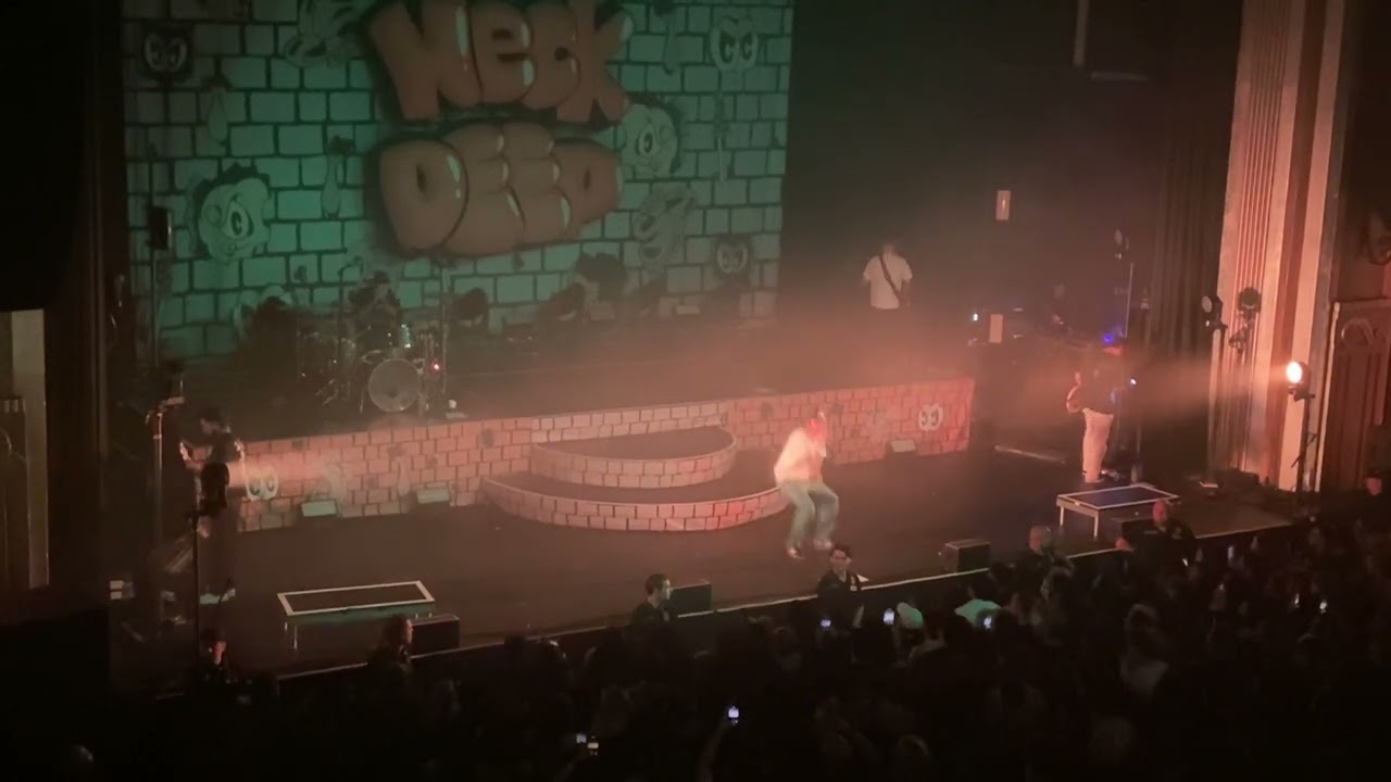 Neck Deep- Dumbstruck Dumbf**k, Sort Yourself Out, Kali Ma