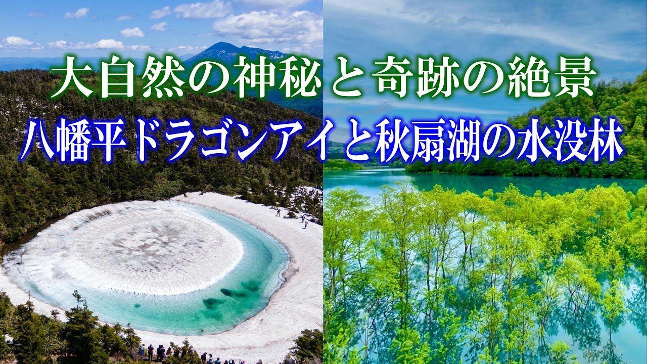 玉川温泉周辺の初夏限定の景色　「秋扇湖の水没林と八幡平ドラゴンアイ」