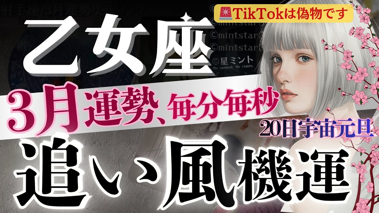 【乙女座】次元上昇！3月3日〜運気に新風🌪️人生レベルの「新鮮な旅路」いよいよ始まる🔑3.6.20日の追い風【星読みタロット】