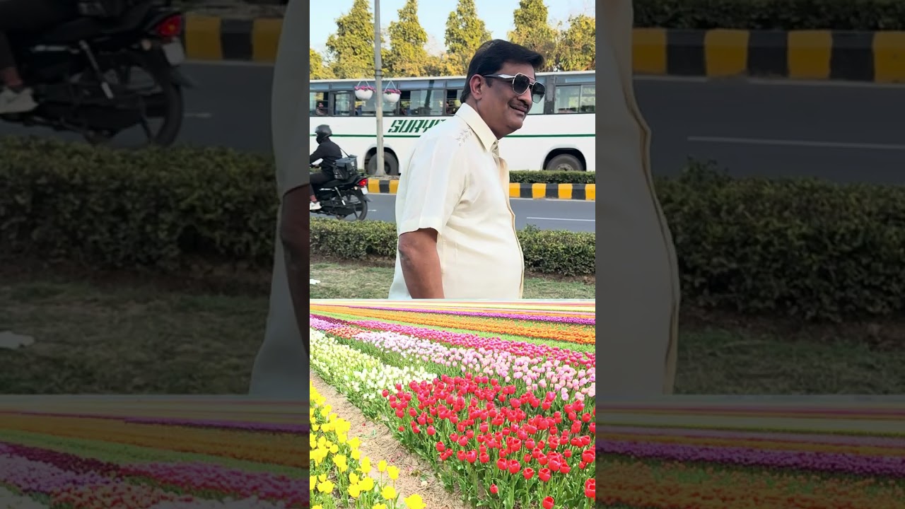 Amazing tulip festival of delhi