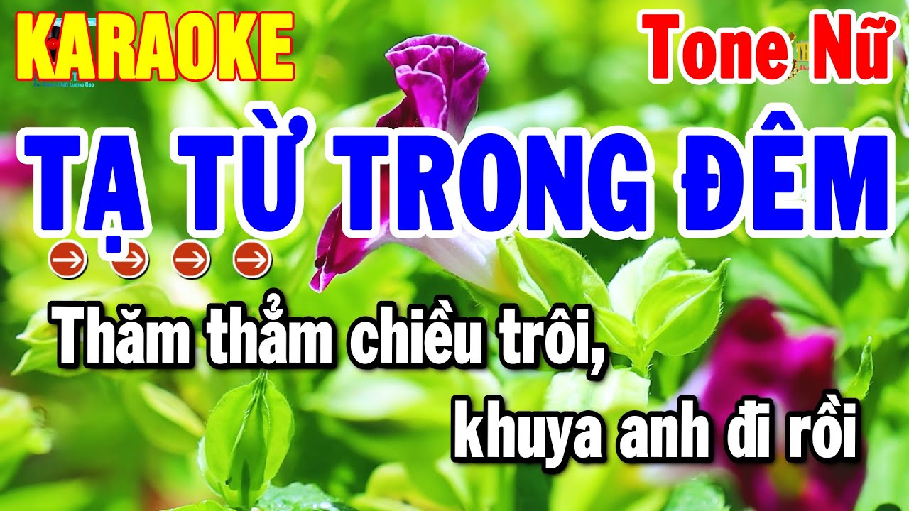 Karaoke Tạ Từ Trong Đêm Tone Nữ Nhạc Sống Rumba Dễ Hát Nhất | Thanh Hải