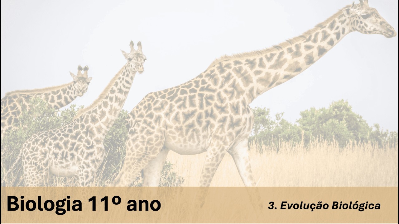 Biologia 11º | Aula 8 | Evolução biológica