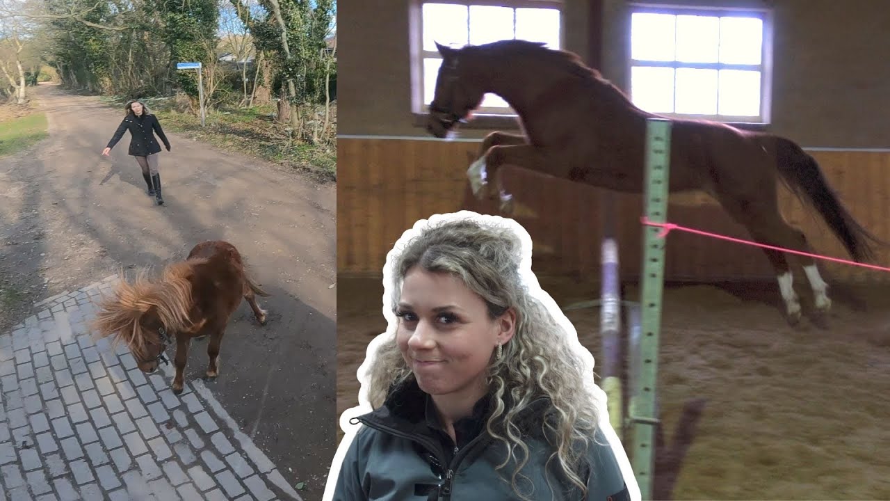 BINXI ONTSNAPT + VRIJSPRINGEN MET BENTHE HAAR NIEUWE PONY | WEEKVLOG #009
