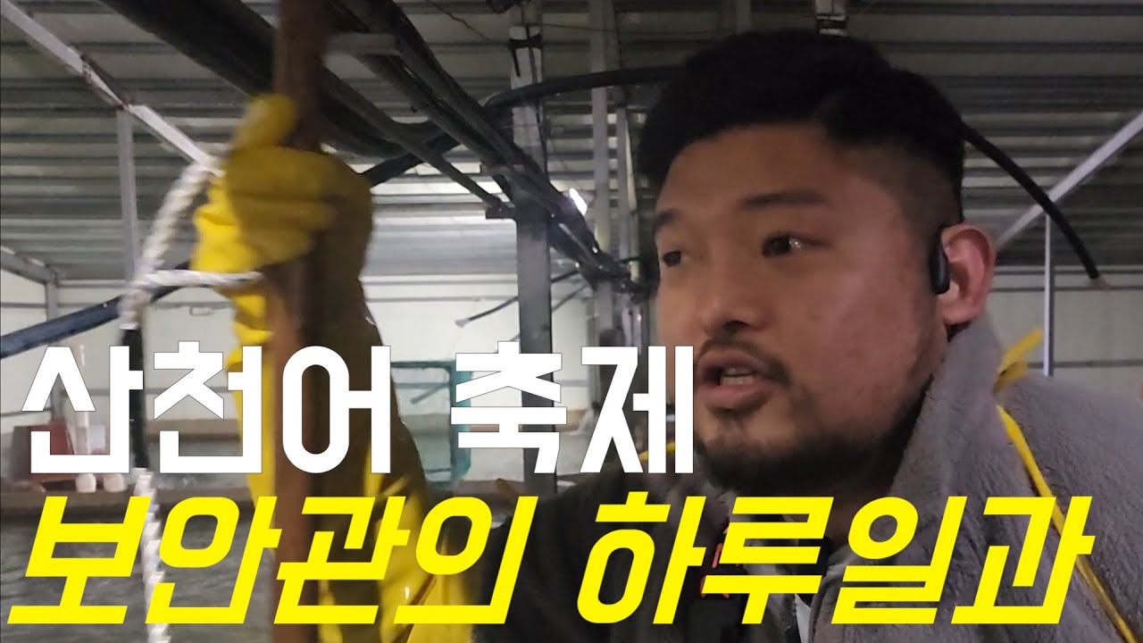 화천군 산천어축제 보안관 이야기