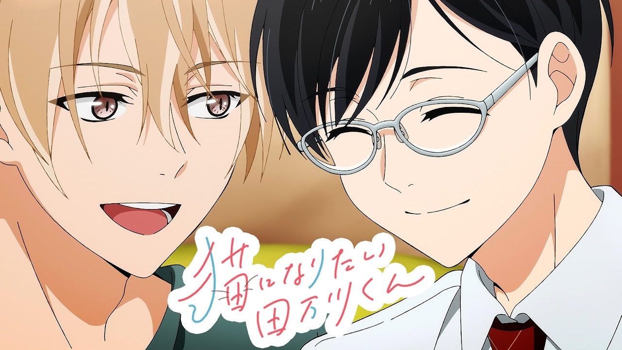 Special Anime | Neko ni Naritai Tamagawa-kun 『猫になりたい田万川くん』 - Japanese Original Audio -