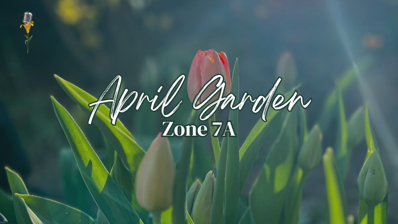 April Zone 7 Garden 🌷 Broadway Gardener