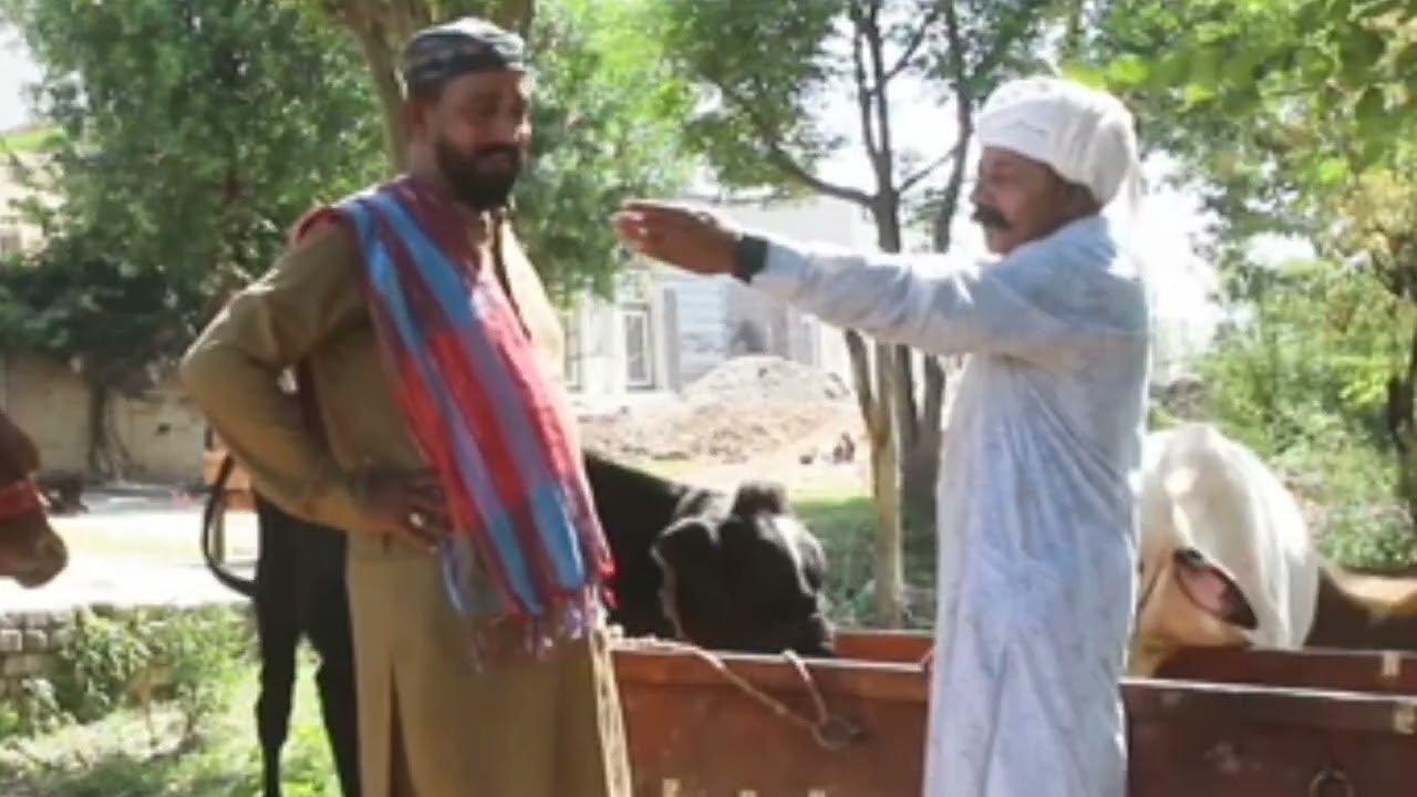 Punjabi Comedy Video / Producer Writer & Director Jabbar Bari / Pothwari Drama Tv