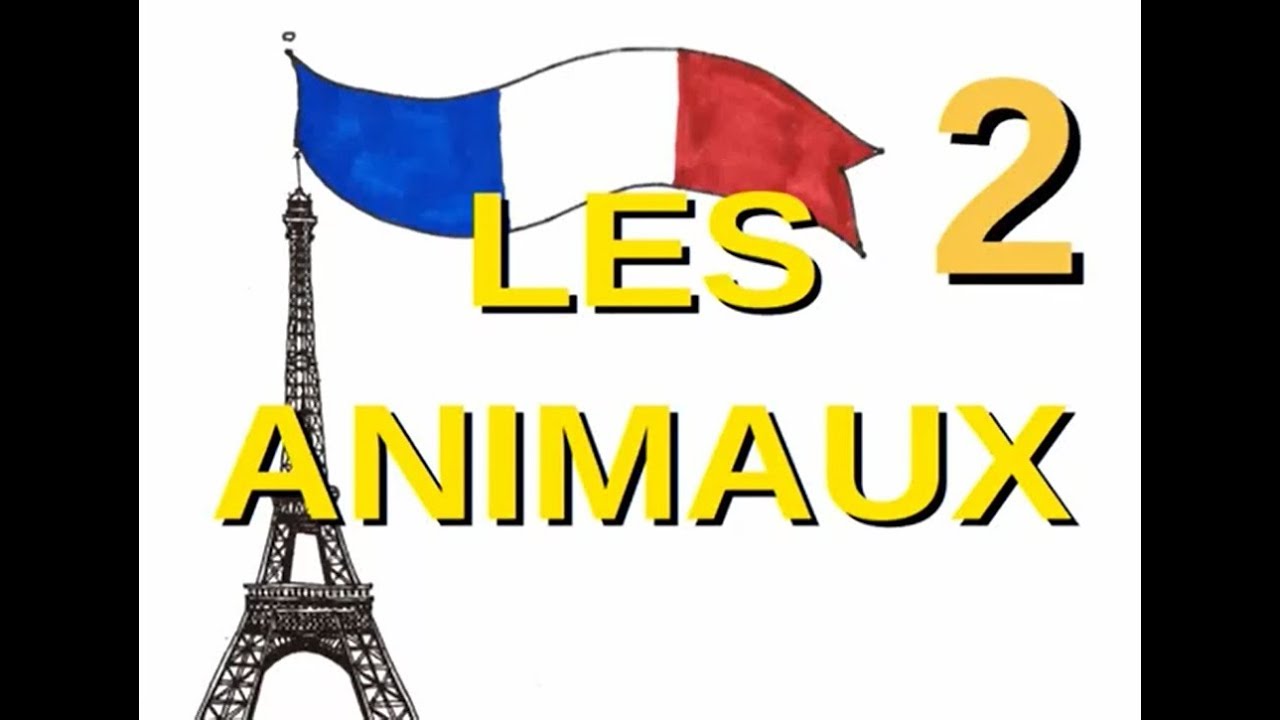 Francese3: gli animali (secondo video)