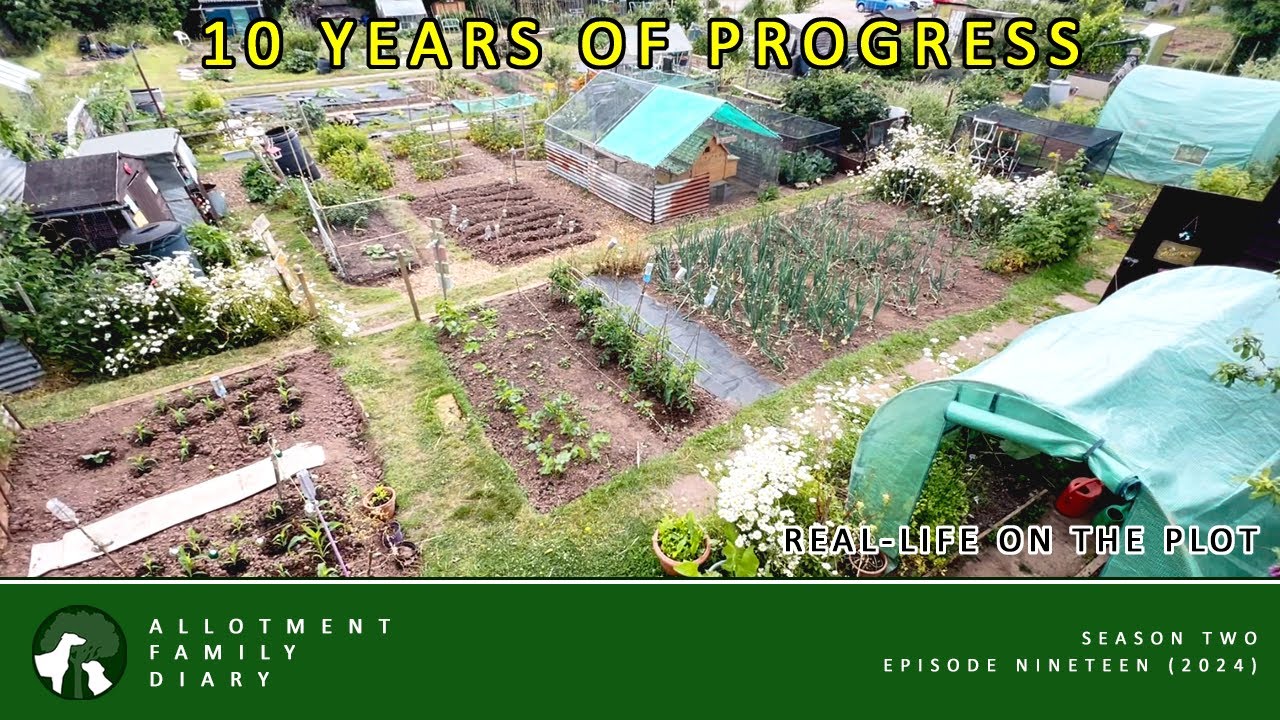 We Tour A 10 Year Old Allotment Plot | Allotment Vlog 🌽 Ep. 19 🌸