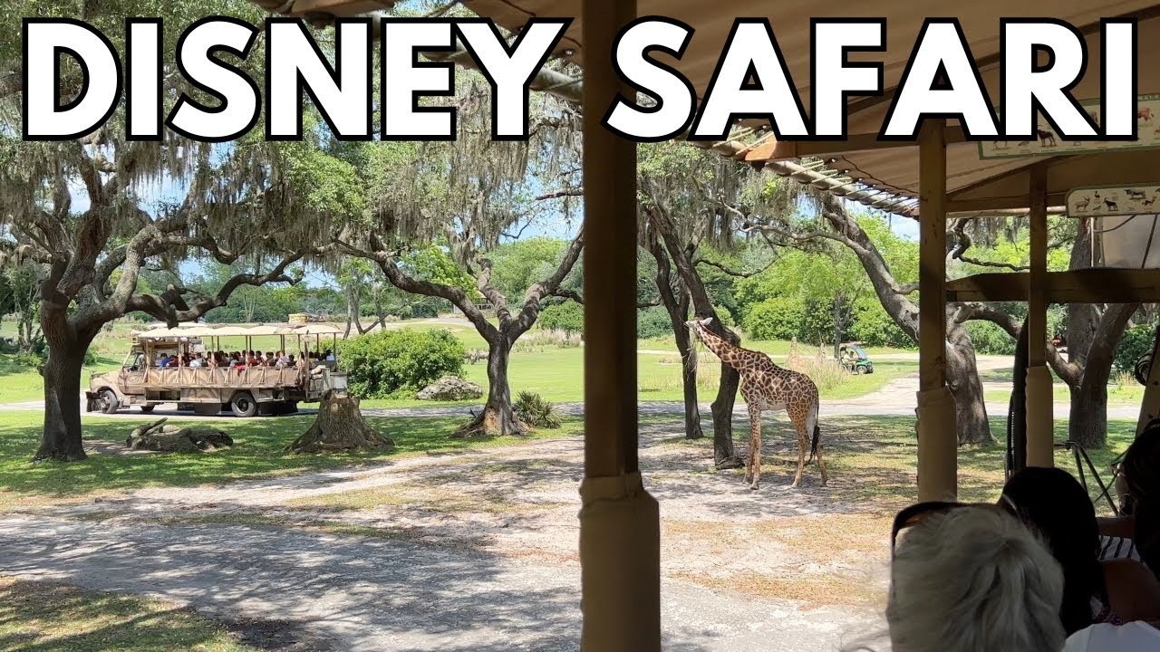 Дисней Animal Kingdom Сафари на Килиманджаро ПОЛНЫЙ ТУР