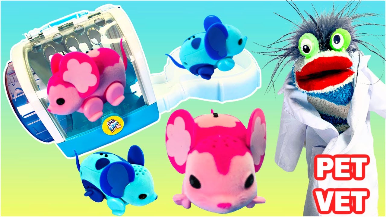 Fizzy the Pet Vet Helps Mice Exercise | Fun Videos For Kids