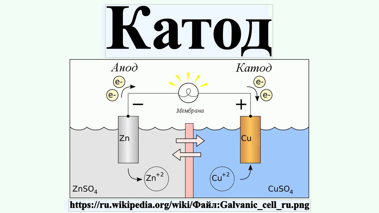 Катод