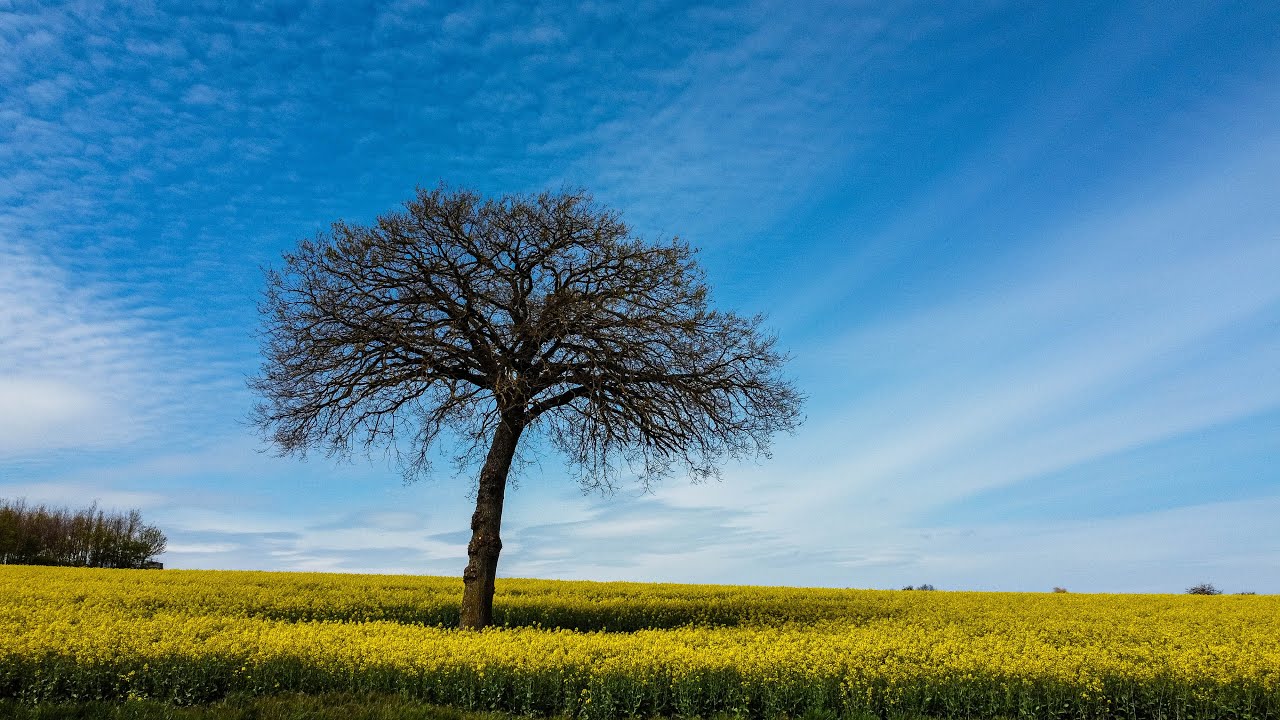Meine TOP 20 Drohnenfotos