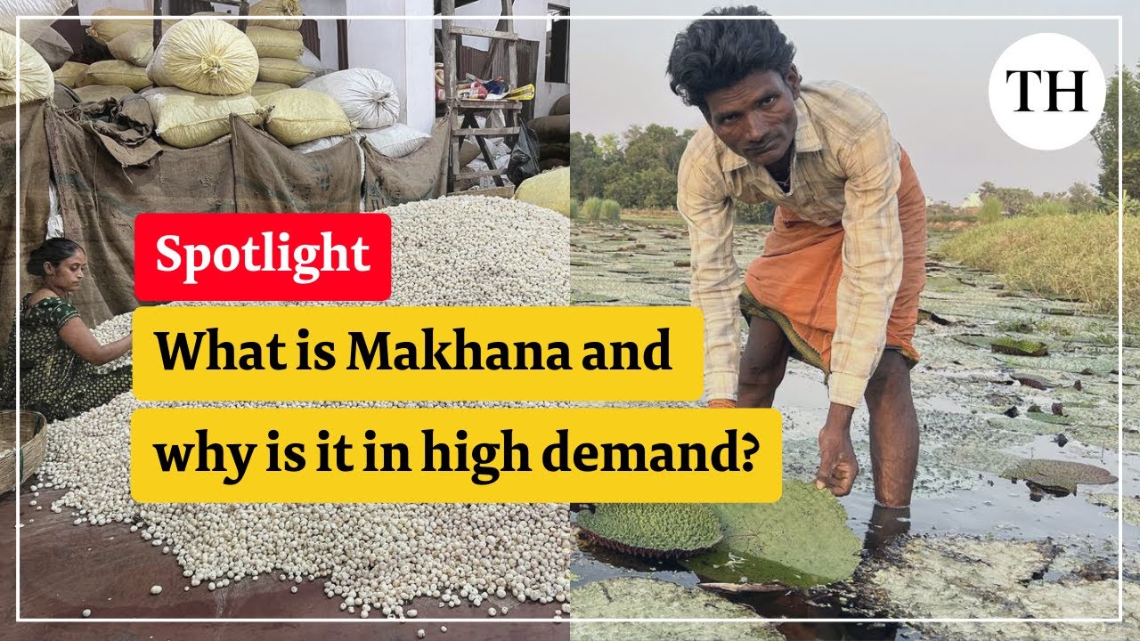 What is Makhana and why is it in high demand?