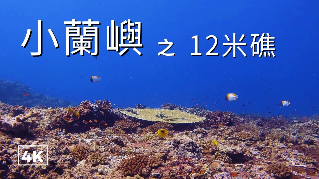 【台東 蘭嶼潛水 小蘭嶼 12米礁石】 小蘭嶼初體驗。SCUBA DIVING in Orchid Island in Taiwan.