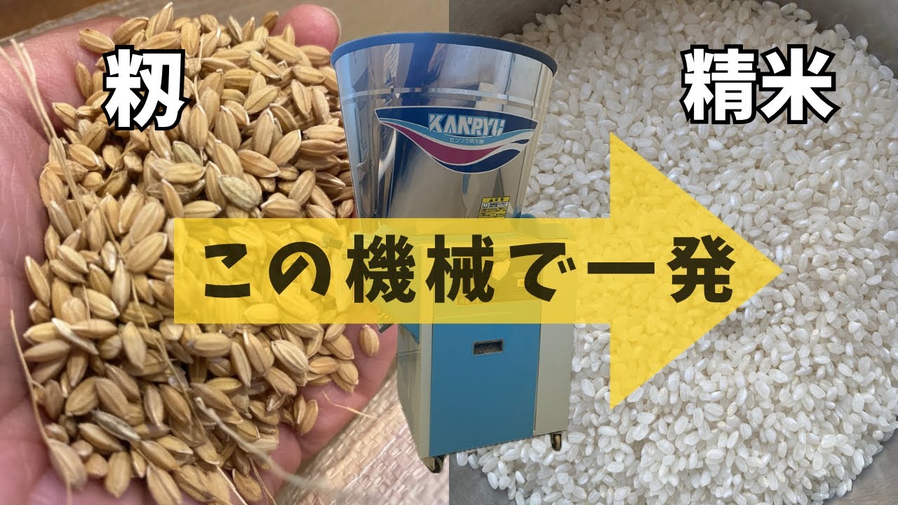 精米、全部みせます【カンリウ循環式精米機】