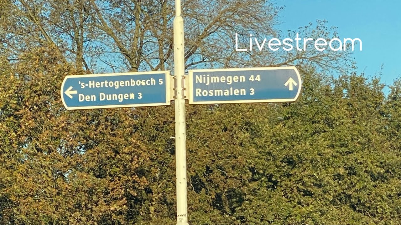 Rijden op borden