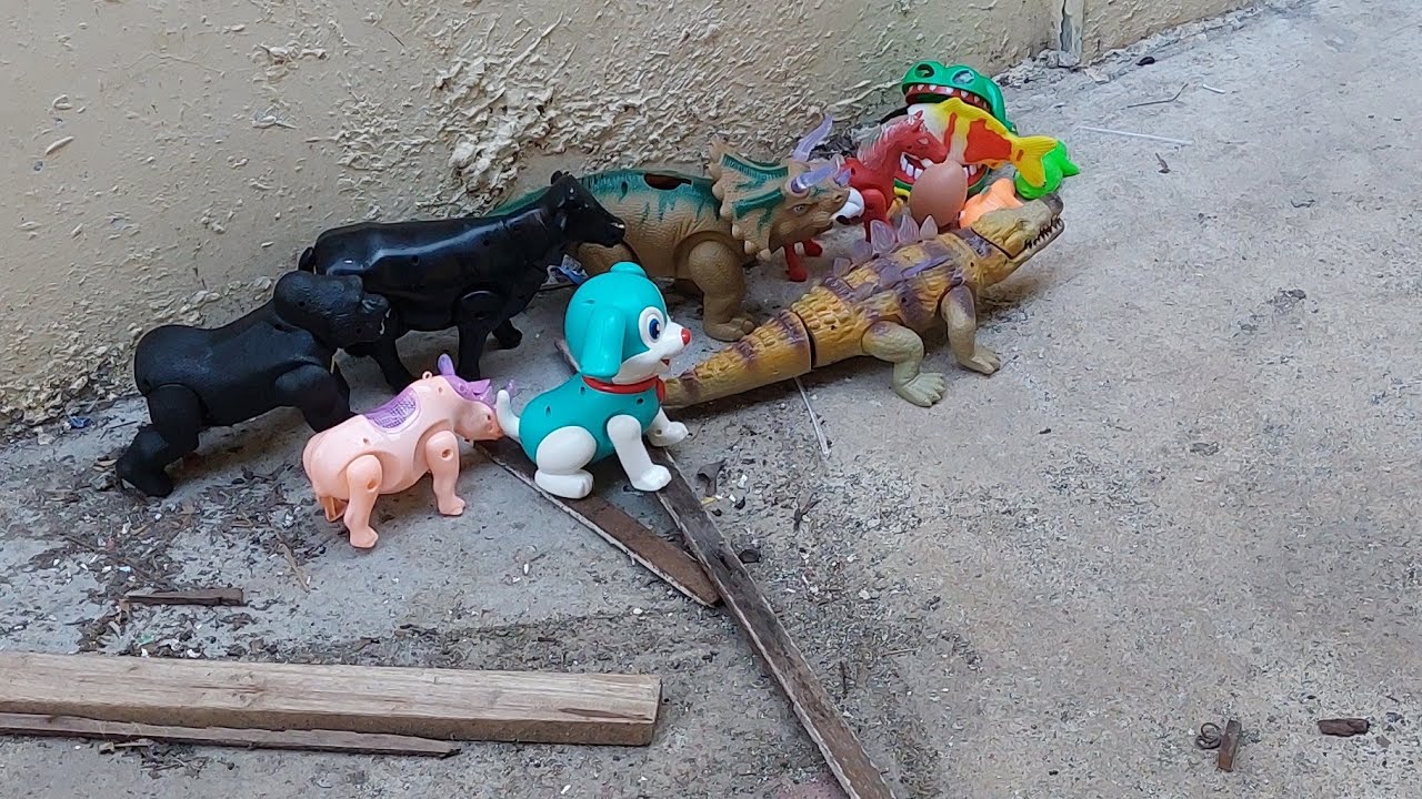 menemukan mainan hidup buaya badak sapi kingkong anjing dinausaurus dan kuda