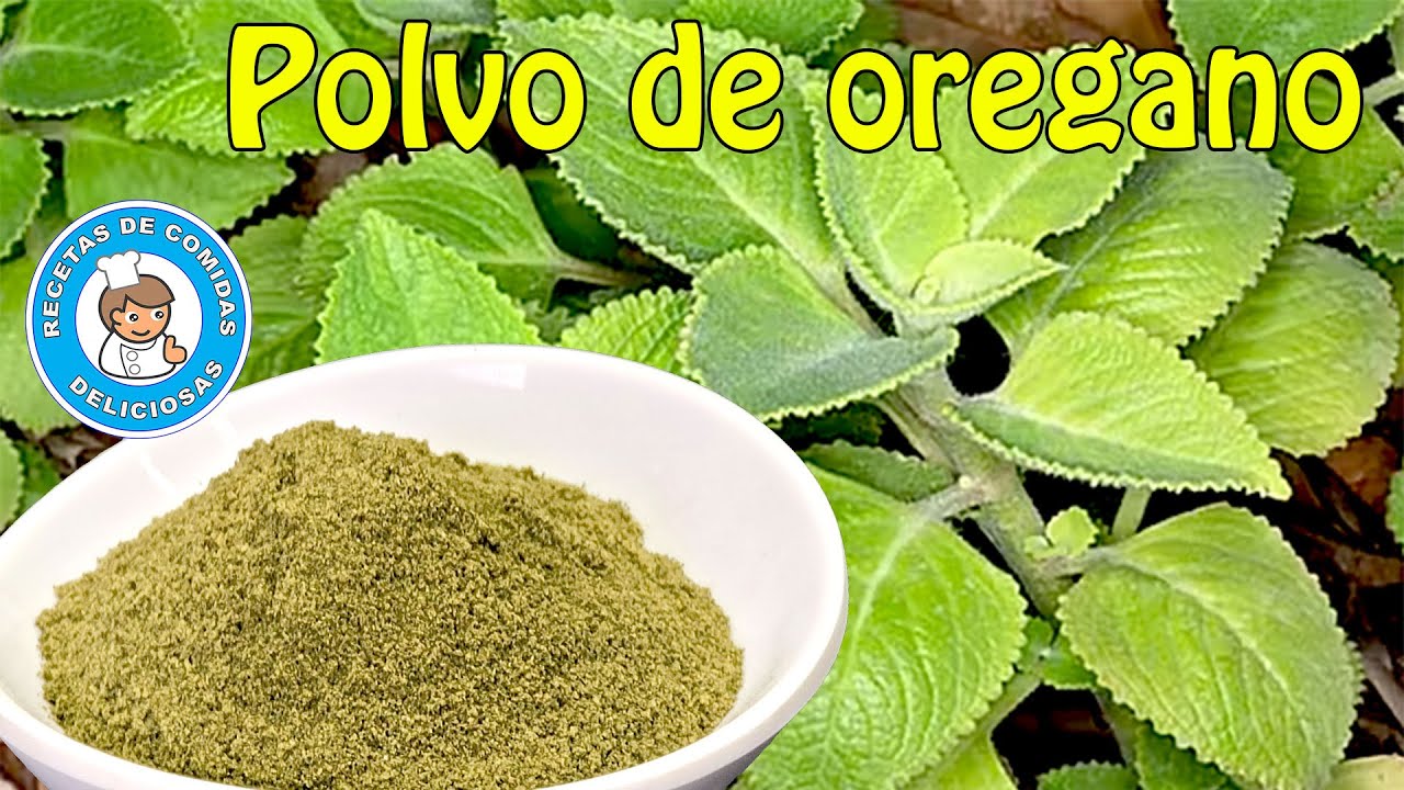 Como hacer polvo de oregano, organico y puro