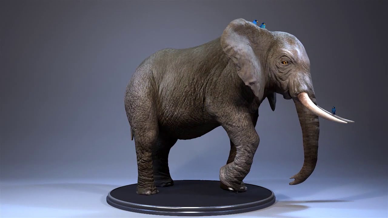 3d Modeling & Texturing Showreel , Rahul Singh