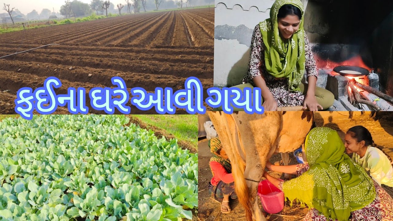 ફઈના ઘરે આવી ગયા 🏡|| બટાકા પણ વવાઈ ગયા.....|| Nilam Thakor❤️