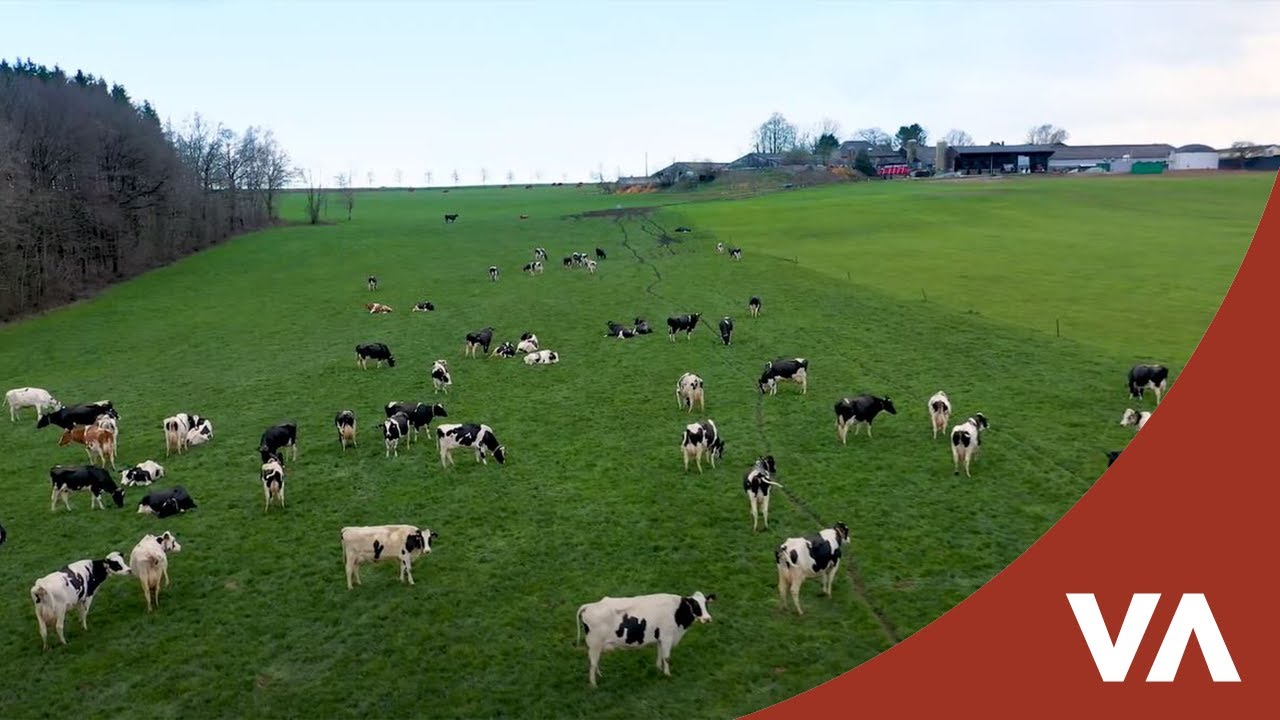 La micro-unité de biométhanisation de la Ferme de la Distillerie, Momignies, Hainaut