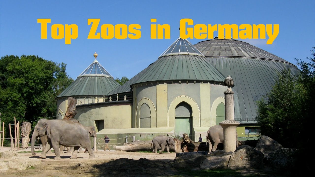 Top 12. Best Zoos in Germany