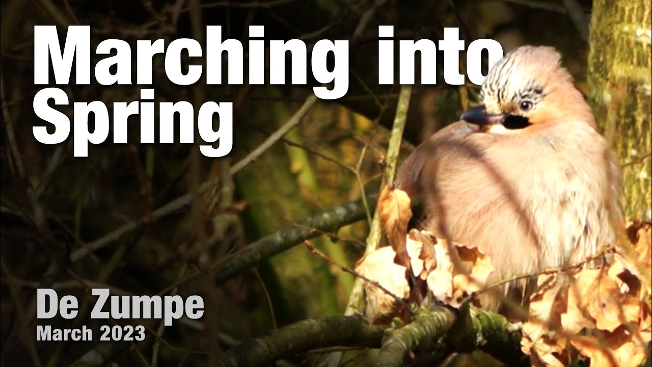 Marching Into Spring -  De Zumpe, Doetinchem, March 2023