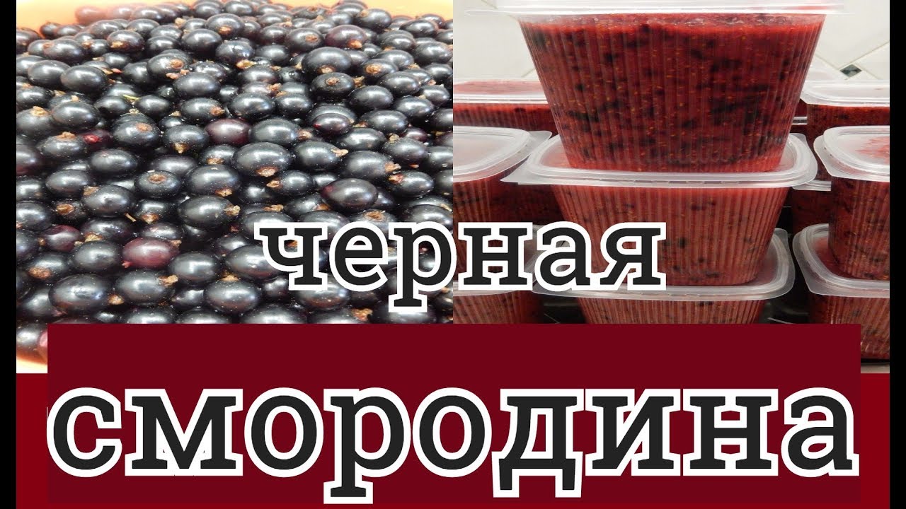 КАК ЗАМОРОЗИТЬ ЧЕРНУЮ СМОРОДИНУ 2 ВИДА ВАРЕНЬЯ БЕЗ ВАРКИ