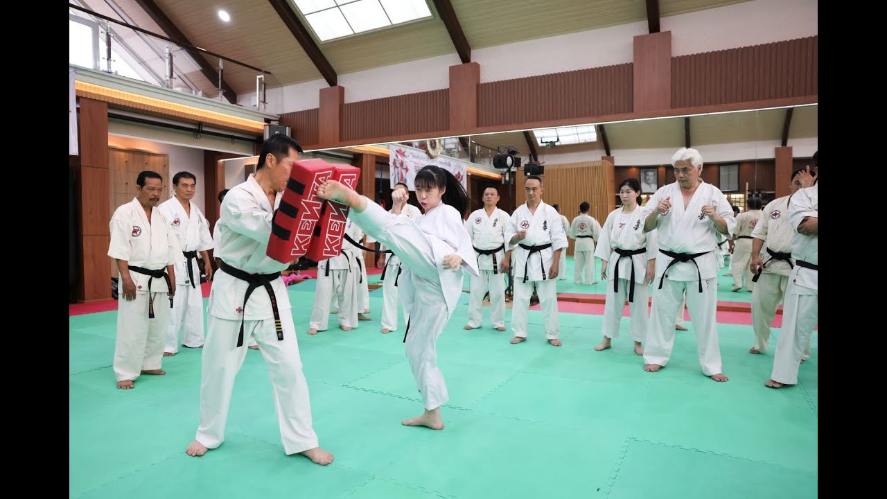 Chudan Mawashigeri part 2. Shihan Akira Masuda Coaching Clinic #11