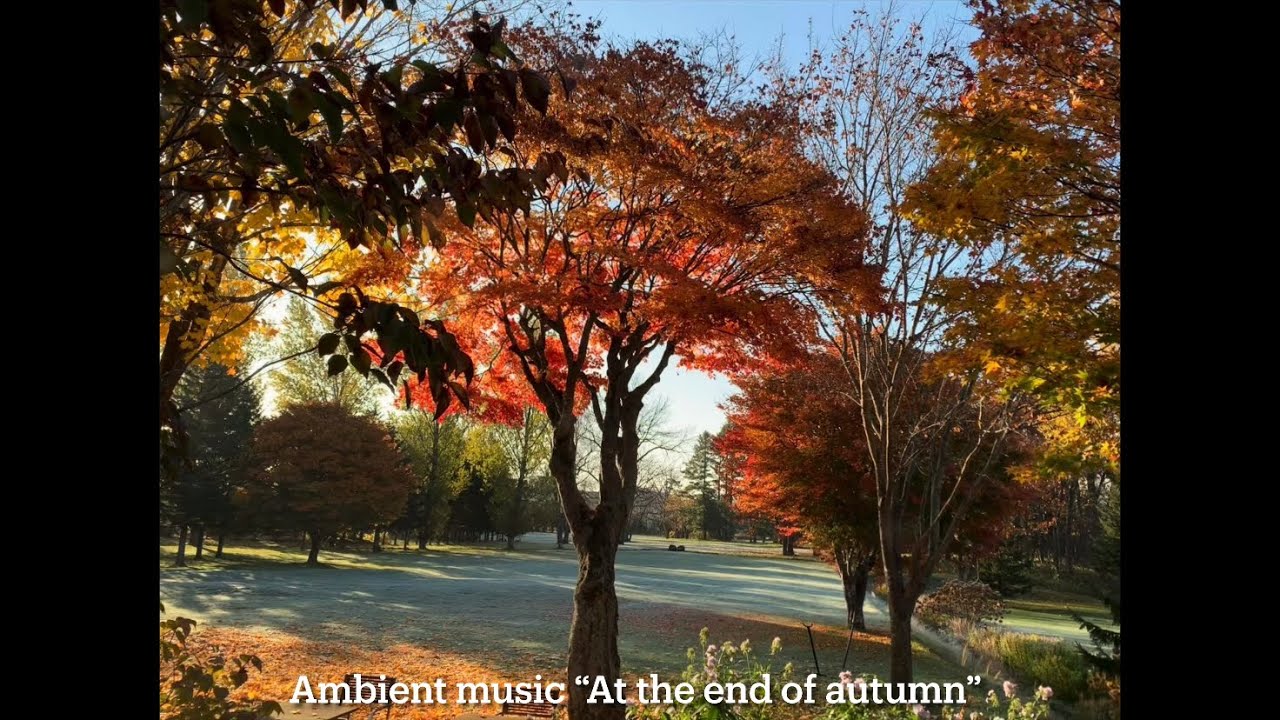 Ambient music &ldquo;At the end of autumn&rdquo; / sdkc instruments（定吉楽器） Helical / strymon Magneto