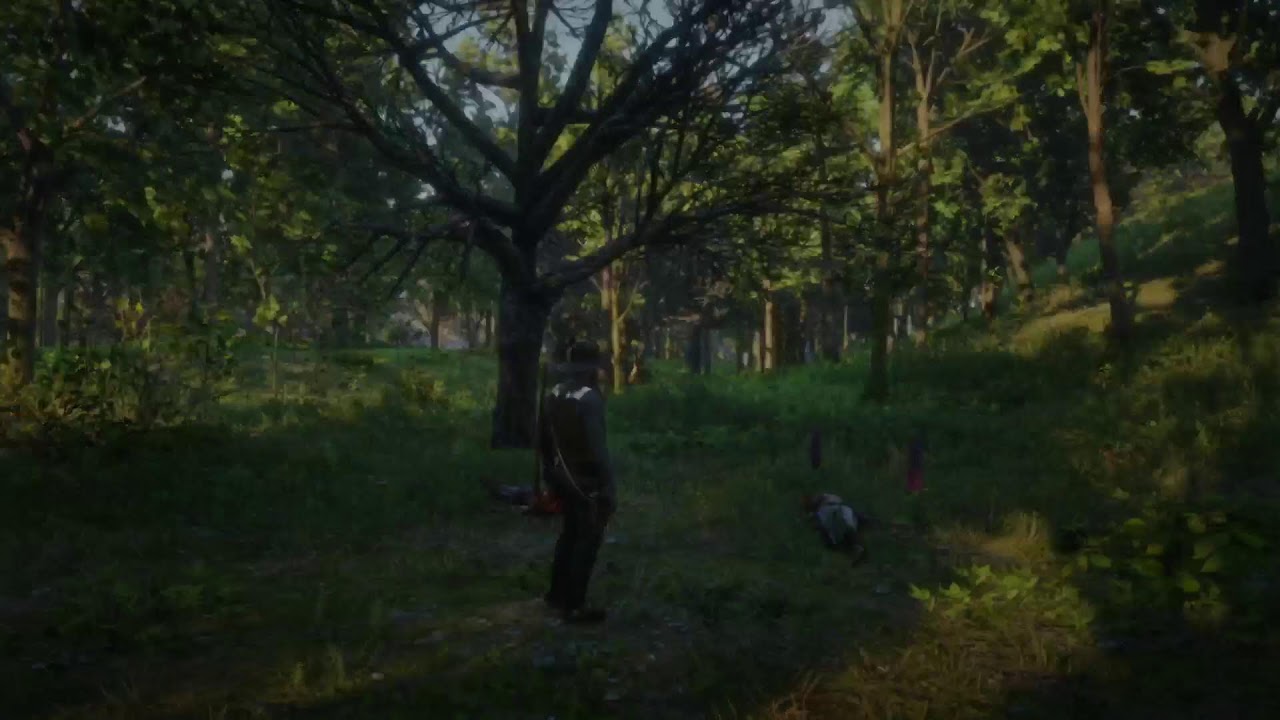 Quiero todos los bolsos. Gameplay Red Dead Redemption 2