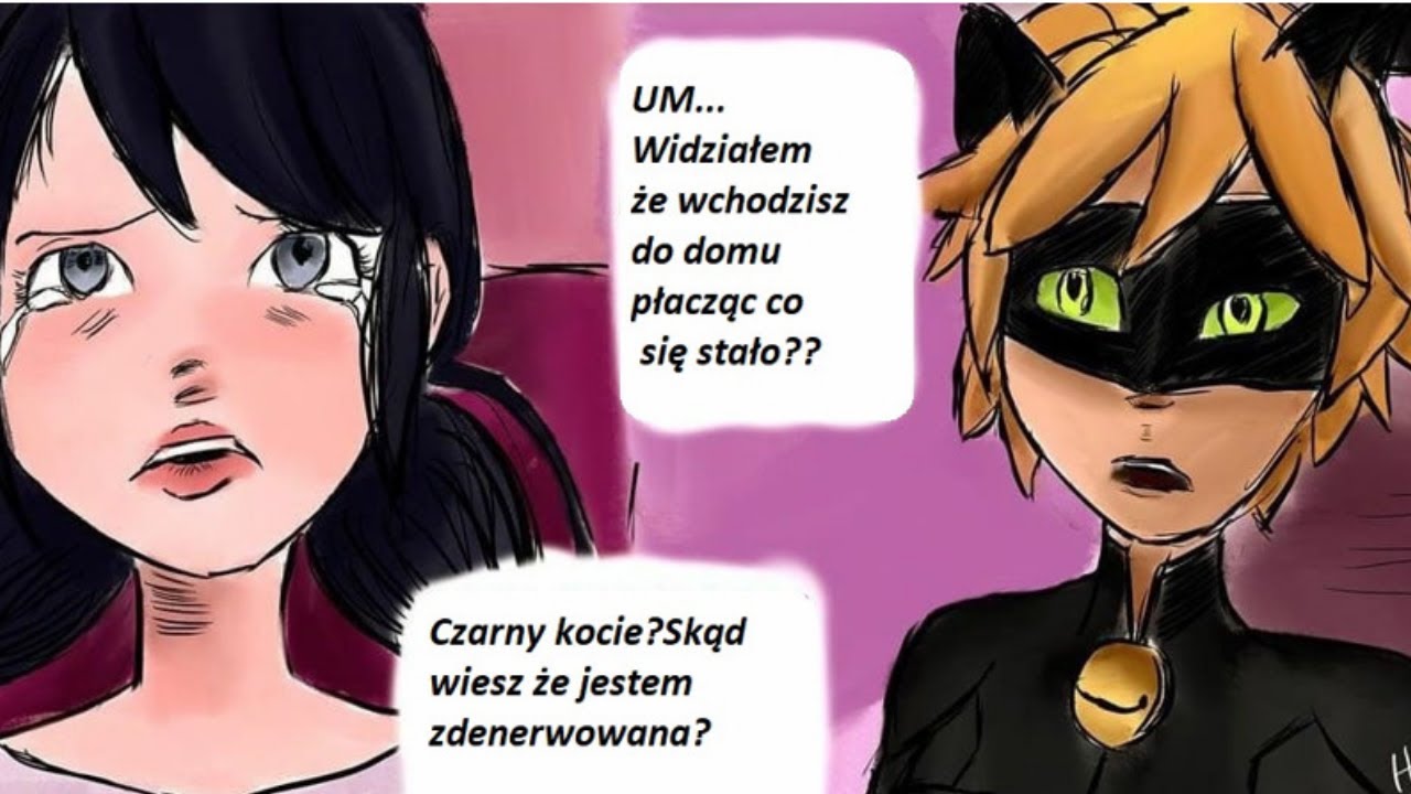 Miraculum Komiksy--Decyzja..🐞PL🐞cz.1